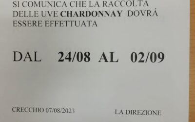 RACCOLTA CHARDONNAY
